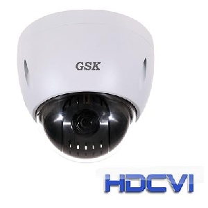 GSK-PTZ/6913 CVI