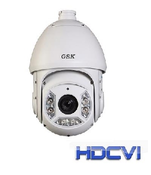 GSK-PTZ/7913 CVI